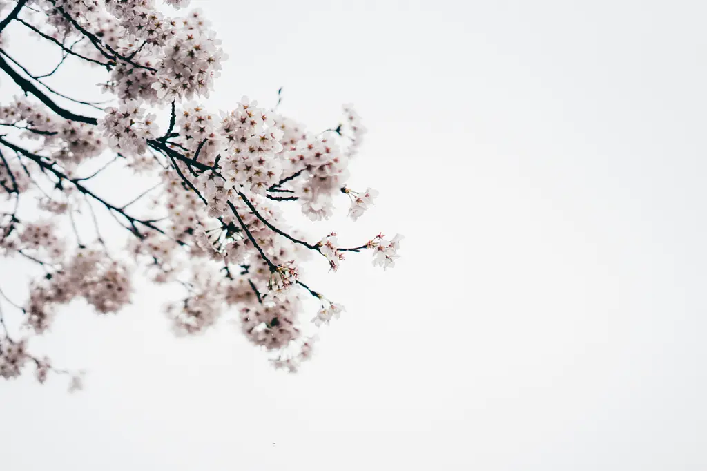 富士愛摩凳：成就高品質居家生活與健康舒適的優質選擇