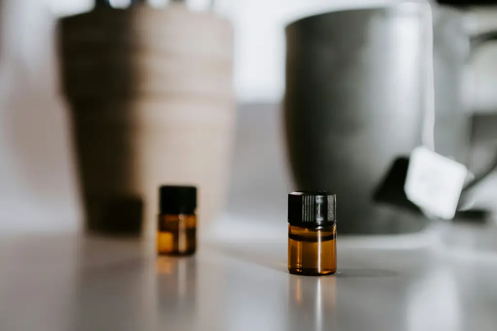 台灣全身SPA放鬆之旅：5款讓人神清氣爽的極致體驗