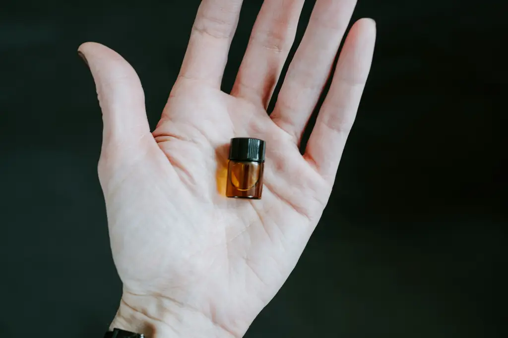 油壓按摩費用：讓身心靈放鬆的價格大公開