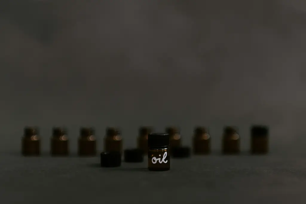 全國電子筋膜槍：台灣人的放鬆救星