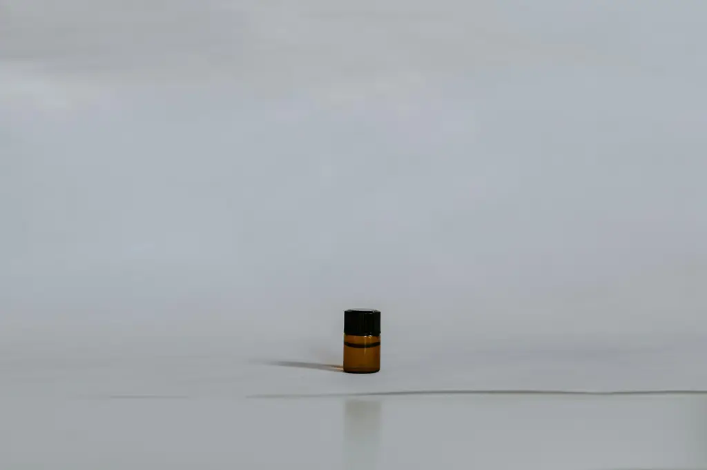 享受極致放鬆：伊豆按摩之旅